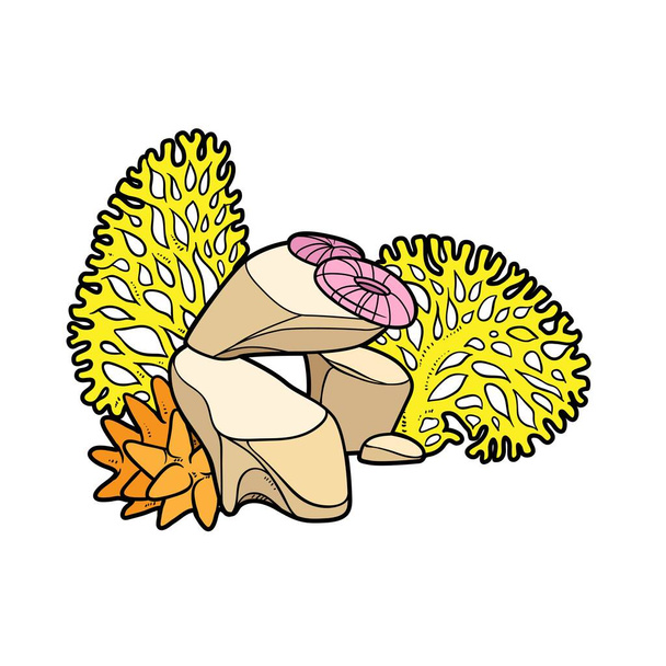 Corals and anemones grow on rocks  color variation for coloring page isolated on white background - Vektor, kép