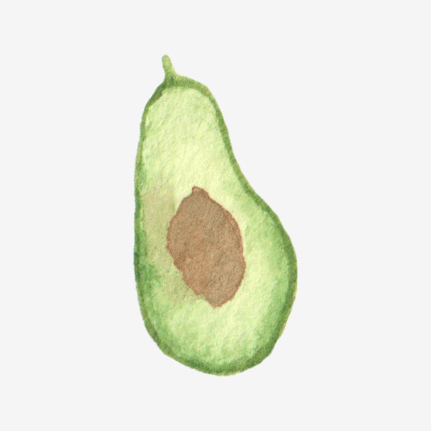 Vector illustration. Watercolor or aquarelle half of avocado. - Вектор,изображение