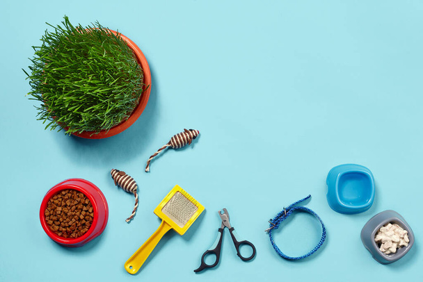 Flat lay composition with accessories for a cat, such as tasty dry food and water in a bowl, funny toys as mouses, green grass, yellow brush, claw clippers and collar on a blue background. Pet care - Photo, Image