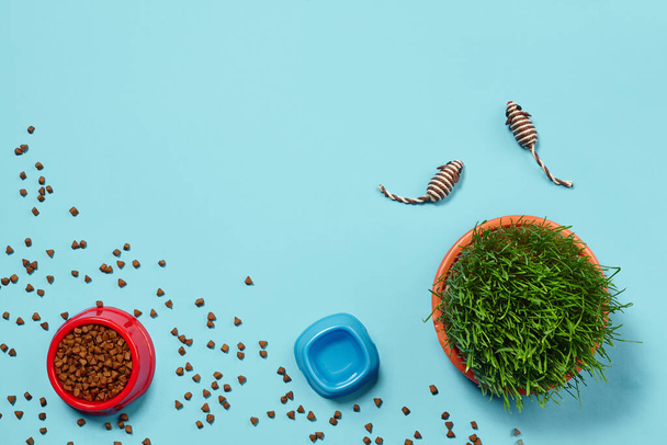 Composição de colocação plana com acessórios para um gato, como comida fresca seca espalhada e água em uma tigela, pequenos brinquedos como ratos e grama verde em um fundo azul. Pet cuidado e conceito de alimentação - Foto, Imagem