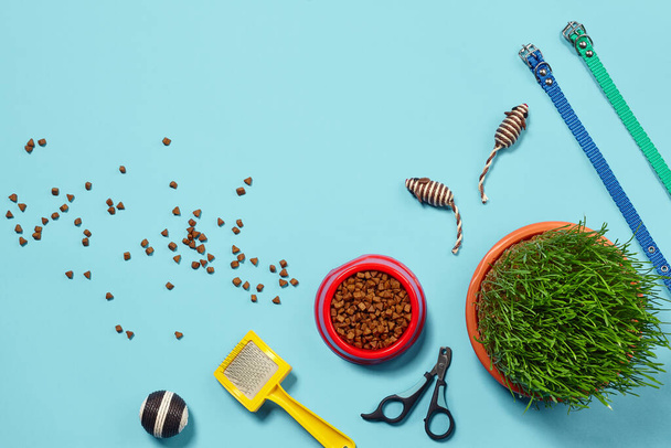 Vlakke lay compositie met accessoires voor een kat, zoals heerlijk droog eten, leuk speelgoed als muiltjes en bal, groen gras, gele borstel, riemen en klauwschaar op een blauwe achtergrond. Huisdierverzorging en - Foto, afbeelding