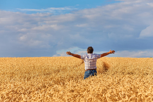 Un hombre adulto en un campo de cultivo entre cereales maduros y levantó los brazos a los lados. Cosecha, vida rural, concepto de libertad. - Foto, Imagen