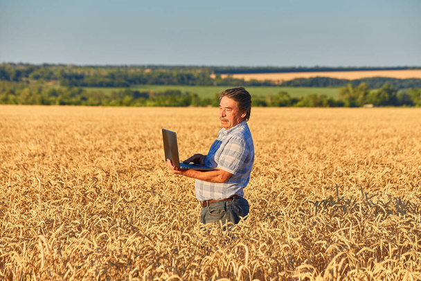 Portret geschoten van een kant op de Kaukasische boer opnemen en typen op de laptop computer terwijl het in het midden van het veld. Oogsten, plattelandsleven, vrijheid. - Foto, afbeelding