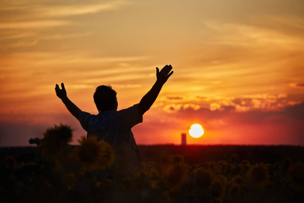 Silhouette eines glücklichen erfolgreichen Maisbauern im Kornfeld bei Sonnenuntergang mit erhobenen Armen in der Luft, selbstbewusster Landarbeiter, der eine gute Ernte erwartet - Foto, Bild