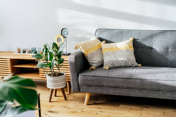Stylish living room interior with designer console with decor and gray sofa with graphic pillows. White walls, green plants in the pots. Light wooden oak parquet. Modern Scandinavian style interior - 写真・画像