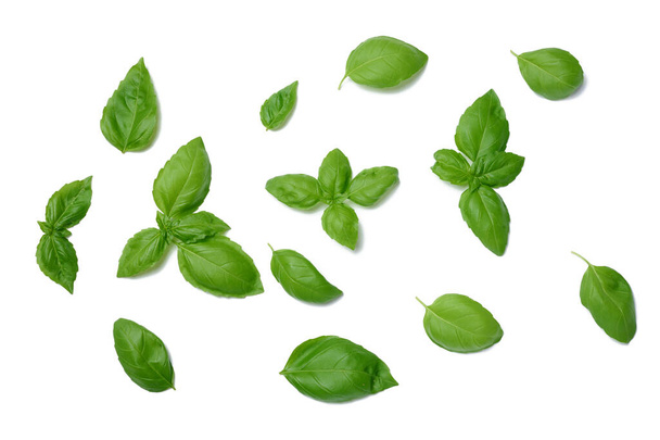 Various green basil leaves isolated on white background, top view - Foto, Imagen