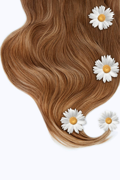 白い背景の髪と髪のための花のための化粧品。髪にカモミールの花。健康的で美しい髪。ヘアケア。テキストのコピースペース - 写真・画像