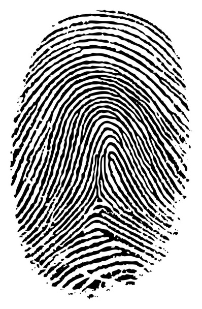 Finger print. - Vector, Image