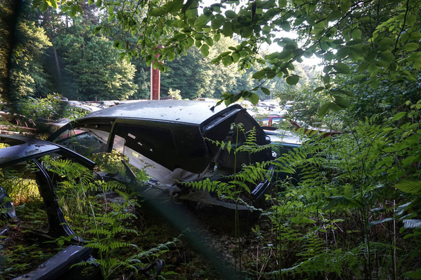 Volcado de viejos coches desmontados en el bosque. - Foto, Imagen