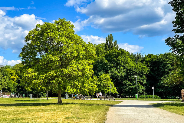 Озерсбургский парк, Франкфурт-на-Майне, Германия  - Фото, изображение