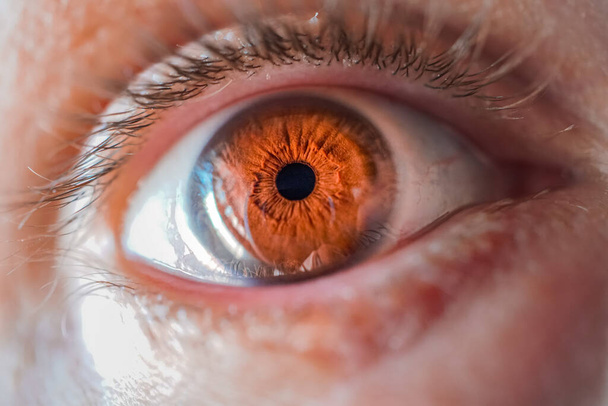 чоловік коричневе око макрозйомка
  - Фото, зображення