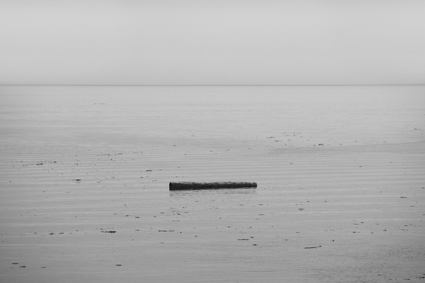 Tułowia w morzu w mglisty dzień. Kanada - Zdjęcie, obraz