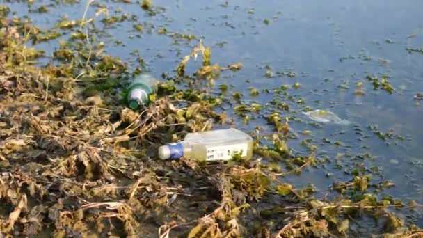 contaminación del lago, contaminación del lago y botellas purificadas - Imágenes, Vídeo