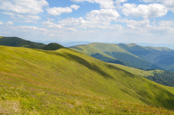 Живописный пейзаж с горным хребтом, зелеными склонами и альпийским лугом в летний день. Карпаты, Украина - Фото, изображение