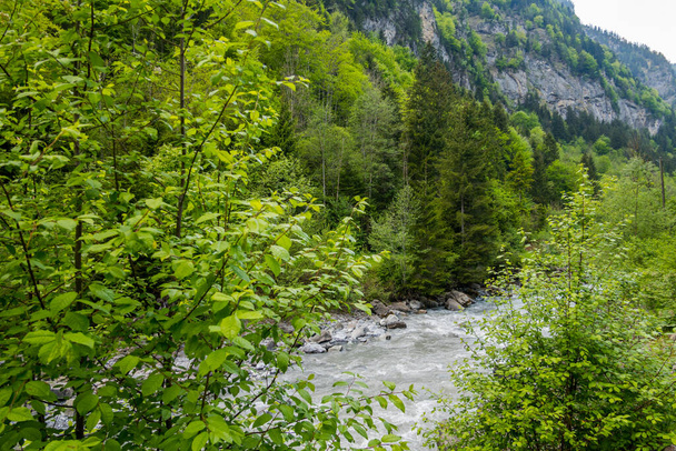 Wspaniałe Blausee wśród lasów i gór - Zdjęcie, obraz