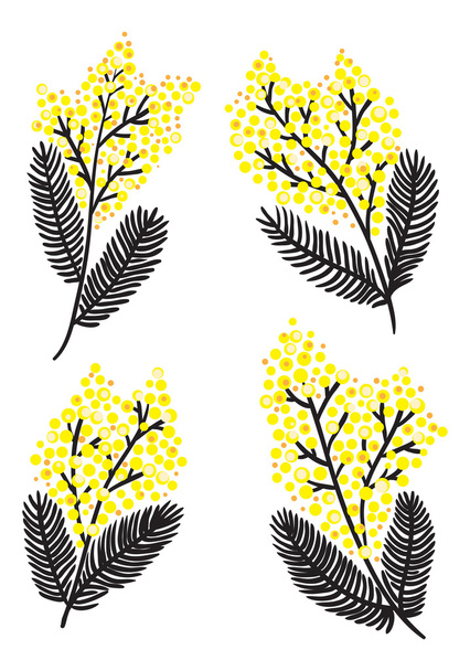Mimosa spring set. - Vector, afbeelding