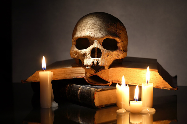 Skull On Books - Photo, Image