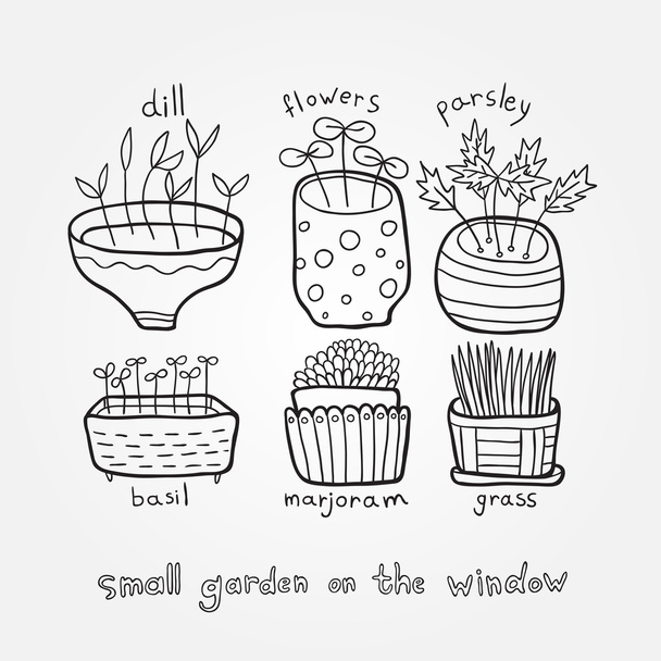 Small garden on the window - Vector, afbeelding