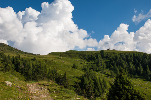 Cabaña alpina
 - Foto, Imagen
