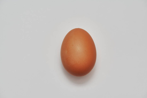 Un œuf de poulet entier. Vecteur réaliste. oeuf brun sur fond blanc - Photo, image