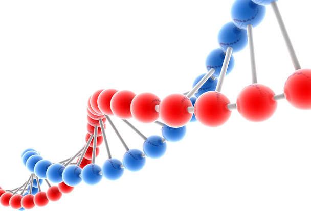 a DNS molekula - Fotó, kép
