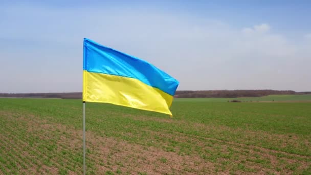 Niebiesko-żółta ukraińska flaga na sztandarze jako znak zwycięstwa. Flaga macha na niebie i tle pola w słoneczny dzień. Wysokiej jakości materiał 4k - Materiał filmowy, wideo