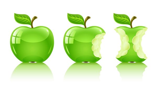 πράσινο μήλο νηχθεί από έντομα με φύλλο - Διάνυσμα, εικόνα