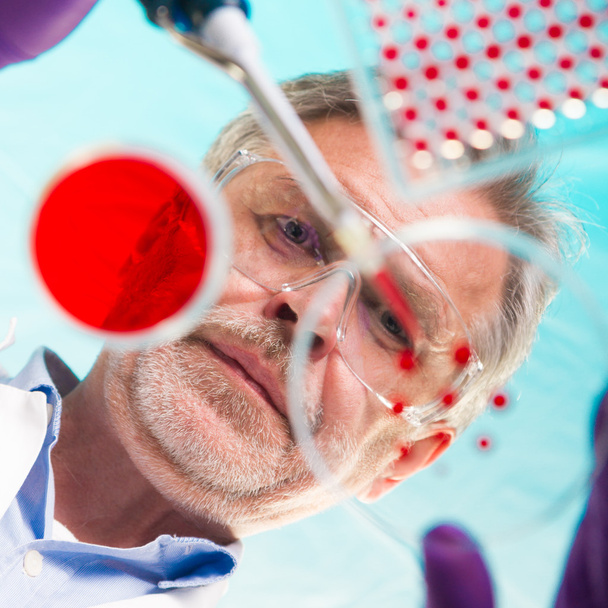 Kıdemli yaşam bilimi araştırmacısı bakteri aşısı yapıyor.. - Fotoğraf, Görsel