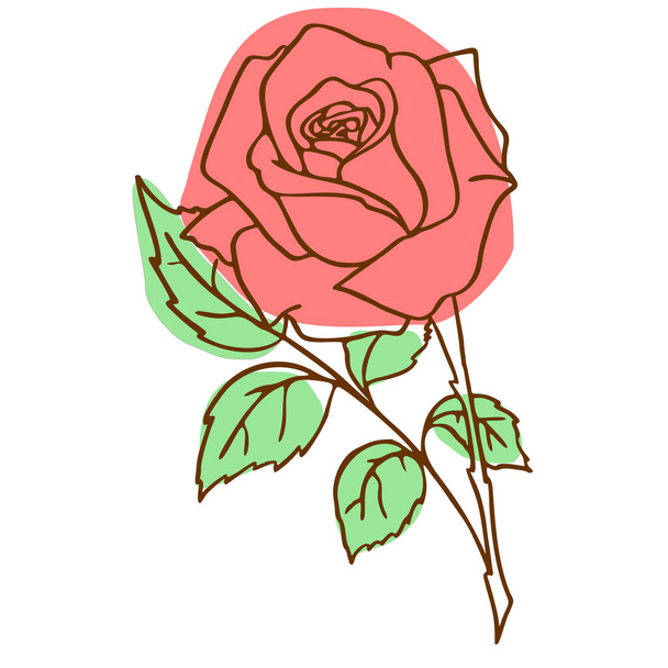 Konturbild einer roten Rose auf weißem Hintergrund, Zeichnung, Farbgrafik, Design - Vektor, Bild