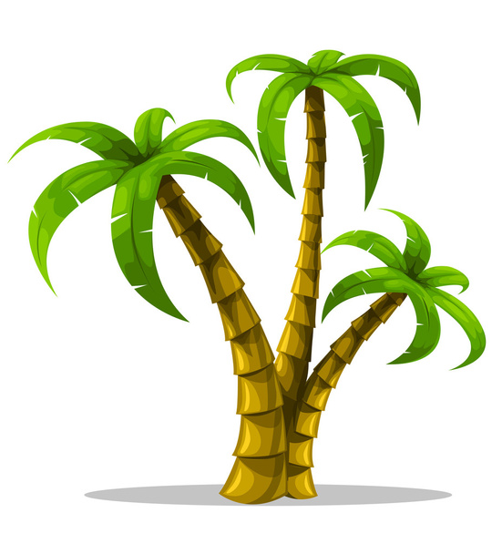 Vector tropical palm trees isolated on white - Vektori, kuva