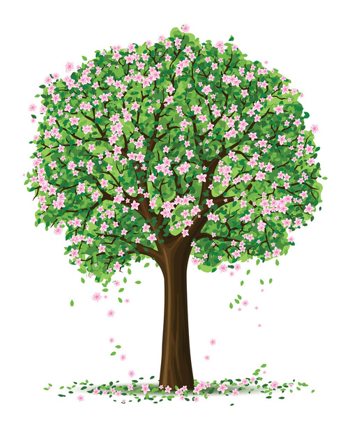silueta vector del árbol de la temporada de primavera - Vector, imagen