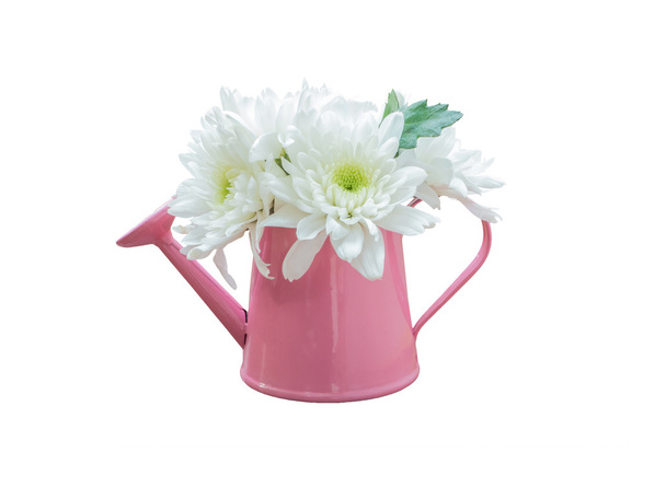 White bouquet flowers in watering can isolated  - Photo, Image