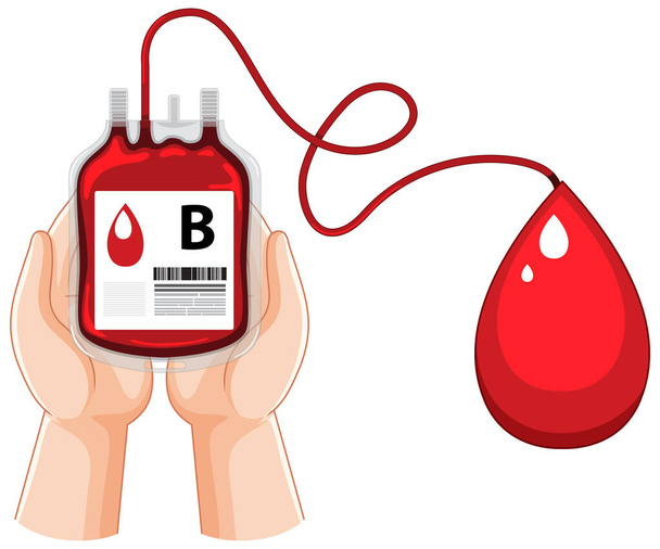 A hand holding blood bag type B donation illustration - Vector, Image