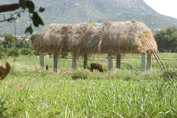 Cabane dans une zone rurale Fields - Photo, image