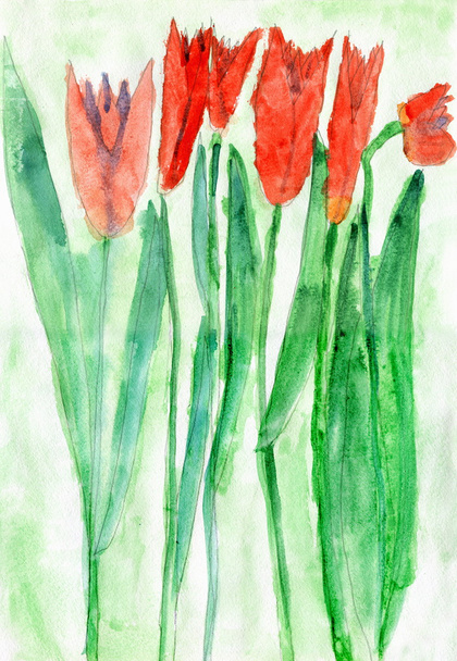 Kinderzeichnung von roten Tulpenblumen, Aquarell - Foto, Bild