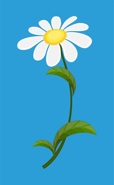 白い記念の花 - ベクター画像