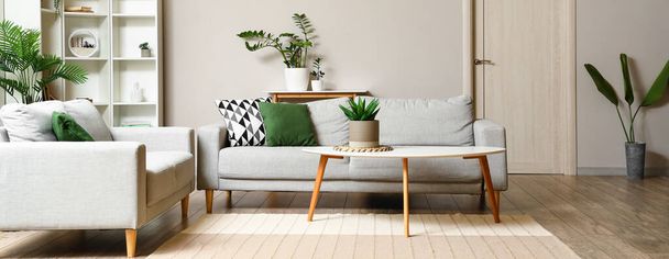 Interior of light living room with coffee table, sofas and houseplants - 写真・画像