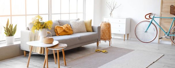 Interiér moderního obývacího pokoje s pohovkou a kolem - Fotografie, Obrázek