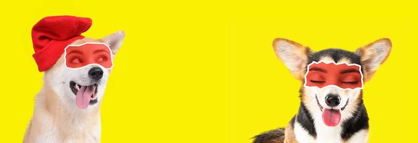 Lindos perros con ojos humanos sobre fondo amarillo con espacio para texto - Foto, Imagen