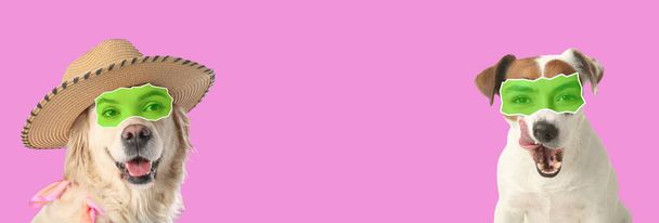 Lindos perros con ojos humanos sobre fondo rosa con espacio para texto - Foto, Imagen