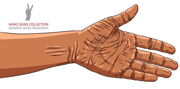 Hand prepared for handshake, African ethnicity, detailed vector  - Vektör, Görsel