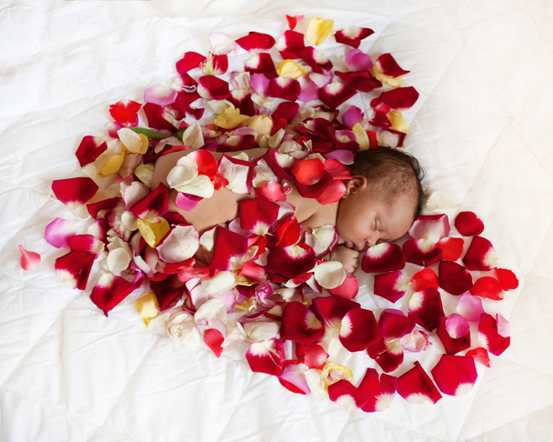 Μαύρο νεογέννητο μωρό σε κόκκινη καρδιά.  - Φωτογραφία, εικόνα