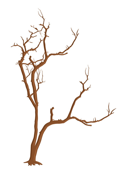 古い死んだ木の形 - ベクター画像
