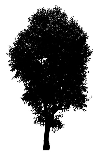 Scary halloween drzewo - Wektor, obraz