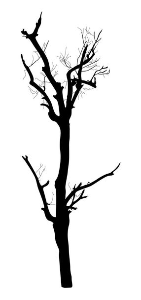 ölü ağaç siluet - Vektör, Görsel