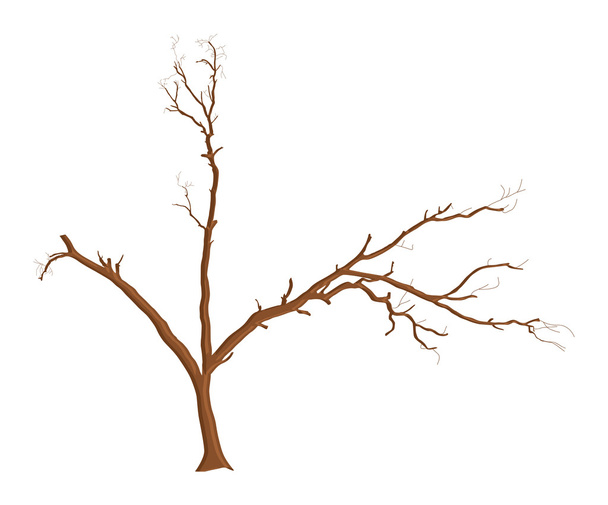 Forme hantée de l'arbre d'Halloween
 - Vecteur, image