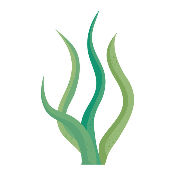 verde alga marinha natureza ícone isolado - Vetor, Imagem