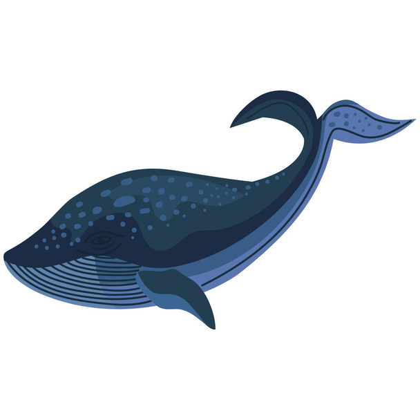 wild whale animal swiming character - Vector, Image