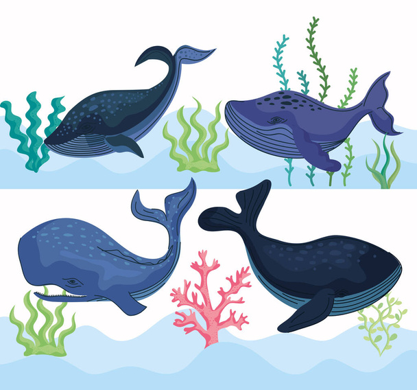 four whales undersea nature scene - Vector, Image