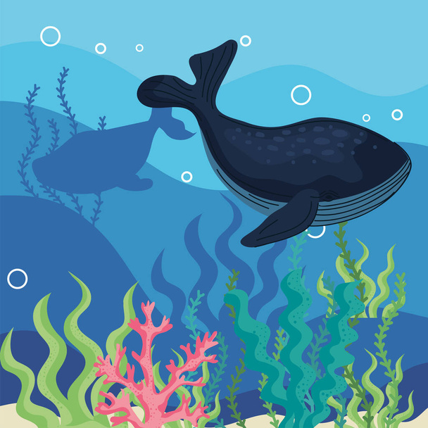 walvissen dieren onderwater natuur scène - Vector, afbeelding